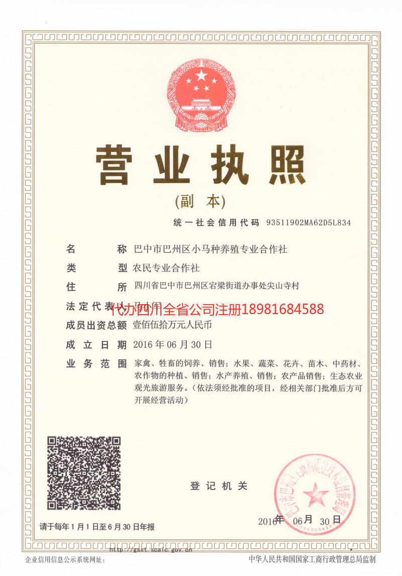 赤峰赤峰小马种养殖专业合作社